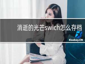 消逝的光芒swich怎么存档