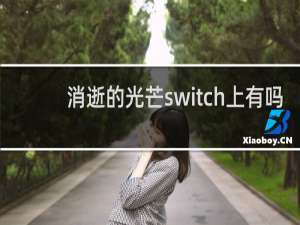 消逝的光芒switch上有吗