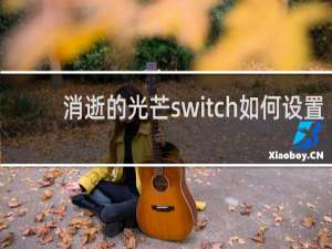 消逝的光芒switch如何设置