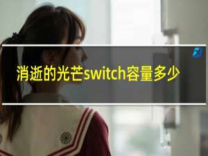 消逝的光芒switch容量多少