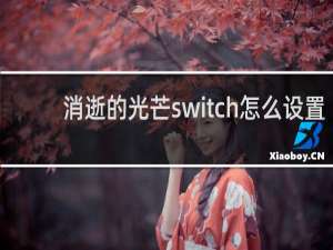 消逝的光芒switch怎么设置