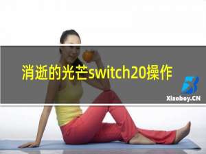 消逝的光芒switch 操作