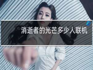 消逝者的光芒多少人联机
