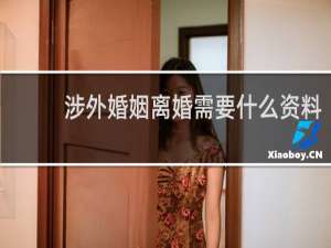 涉外婚姻离婚需要什么资料