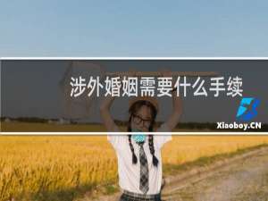 涉外婚姻需要什么手续