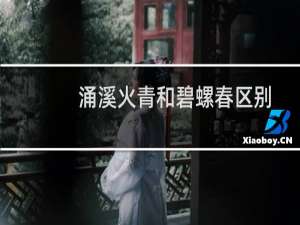 涌溪火青和碧螺春区别