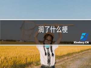 润了什么梗