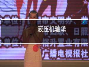 液压机轴承