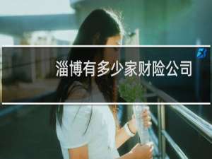 淄博有多少家财险公司