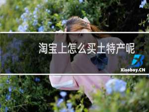 淘宝上怎么买土特产呢