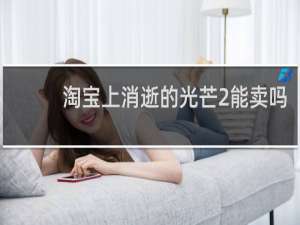 淘宝上消逝的光芒2能卖吗
