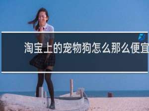 淘宝上的宠物狗怎么那么便宜