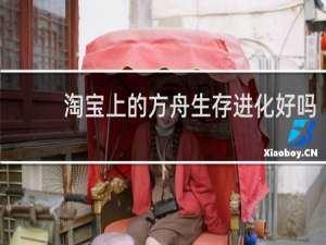 淘宝上的方舟生存进化好吗