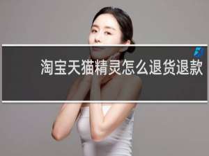 淘宝天猫精灵怎么退货退款