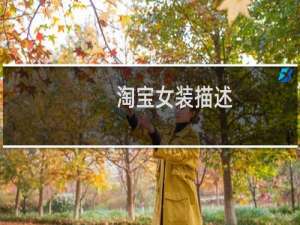 淘宝女装描述