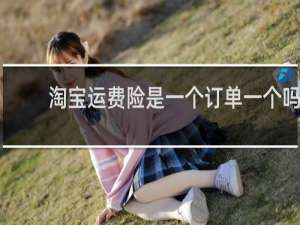 淘宝运费险是一个订单一个吗