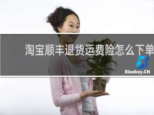 淘宝顺丰退货运费险怎么下单