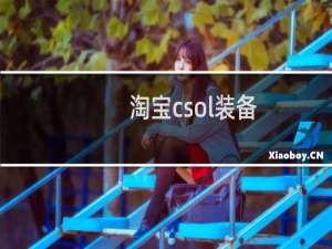 淘宝csol装备
