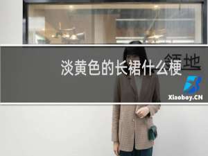 淡黄色的长裙什么梗