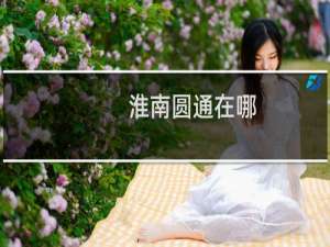 淮南圆通在哪