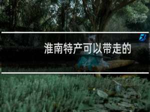 淮南特产可以带走的（淮南特产）