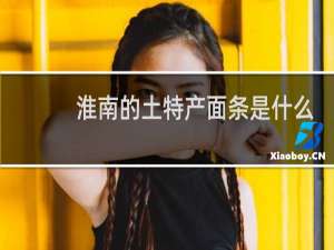 淮南的土特产面条是什么
