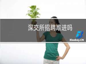 深交所招聘难进吗