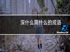深什么简什么的成语