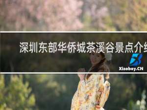 深圳东部华侨城茶溪谷景点介绍