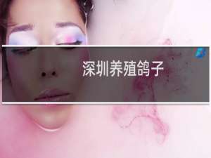深圳养殖鸽子