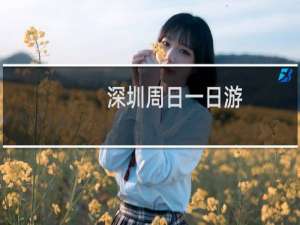 深圳周日一日游