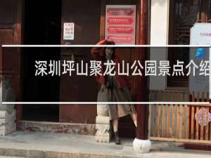 深圳坪山聚龙山公园景点介绍