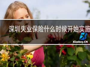 深圳失业保险什么时候开始实施的