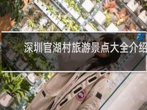 深圳官湖村旅游景点大全介绍