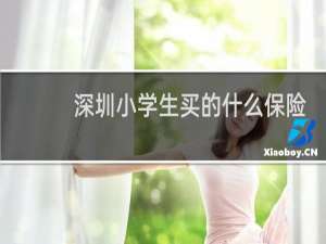 深圳小学生买的什么保险