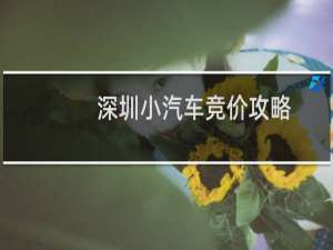 深圳小汽车竞价攻略