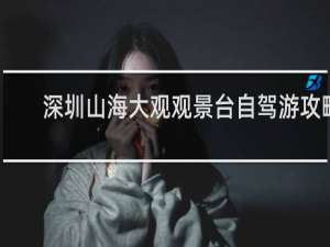 深圳山海大观观景台自驾游攻略