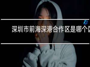 深圳市前海深港合作区是哪个区