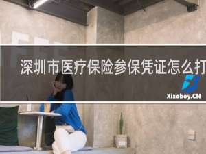 深圳市医疗保险参保凭证怎么打印