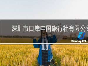 深圳市口岸中国旅行社有限公司