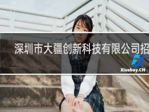 深圳市大疆创新科技有限公司招聘