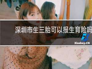深圳市生三胎可以报生育险吗