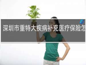 深圳市重特大疾病补充医疗保险怎么买