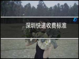 深圳快递收费标准