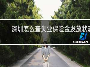 深圳怎么查失业保险金发放状态