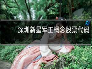 深圳新星军工概念股票代码