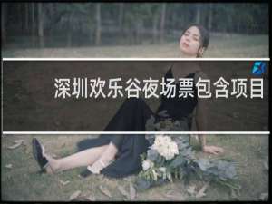 深圳欢乐谷夜场票包含项目