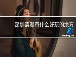 深圳清湖有什么好玩的地方