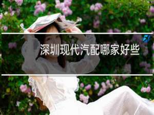 深圳现代汽配哪家好些