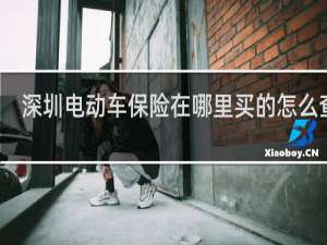 深圳电动车保险在哪里买的怎么查询
